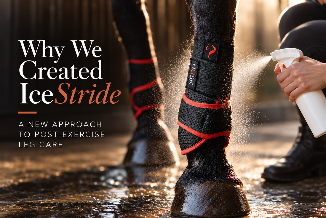 Why We Created IceStride ............