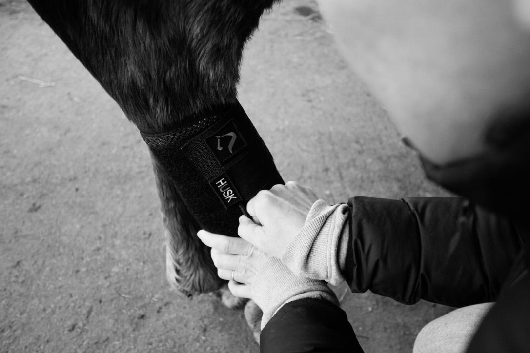 HUSK Boots vs Le Mieux & other leg protection - Vet Assisted