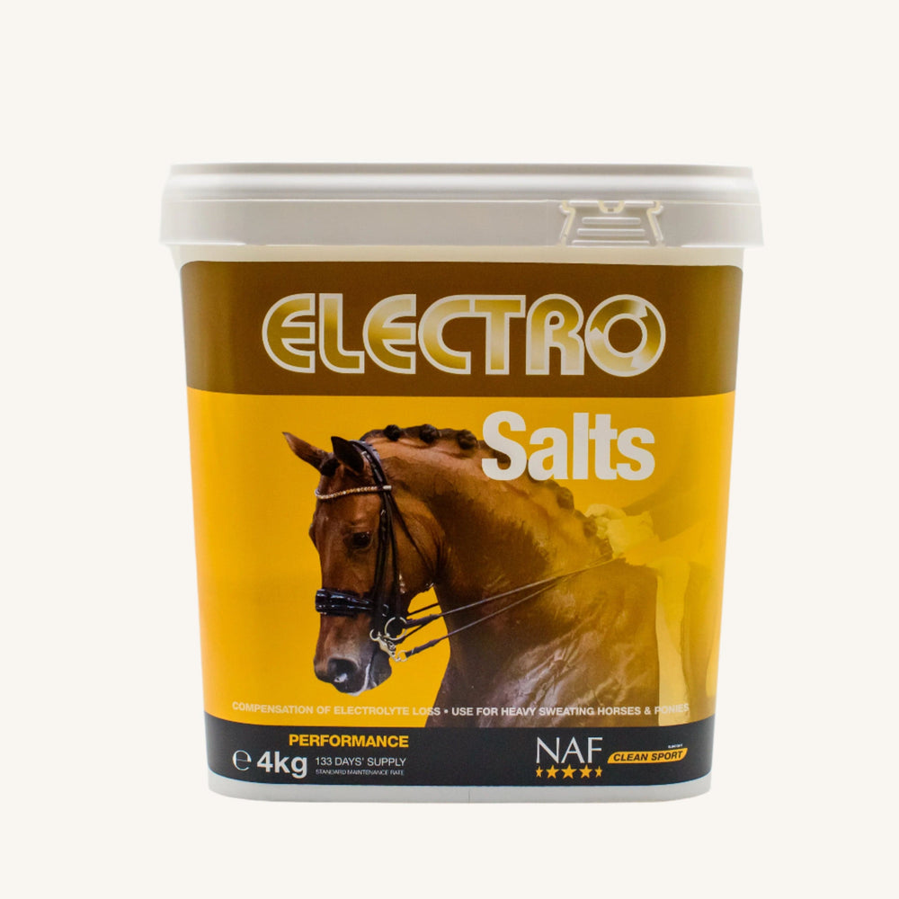 NAF ELECTRO Lytes Liquid 4L